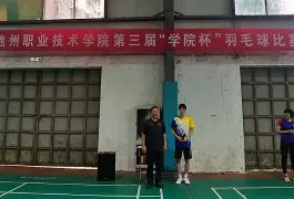 db游戏平台官网官方-波尔津吉斯进过全明星吗